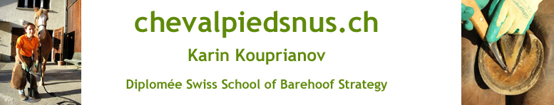 logo Karin Kouprianov
